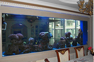 合肥水族工程对经验的要求很重要，否者会损失惨重