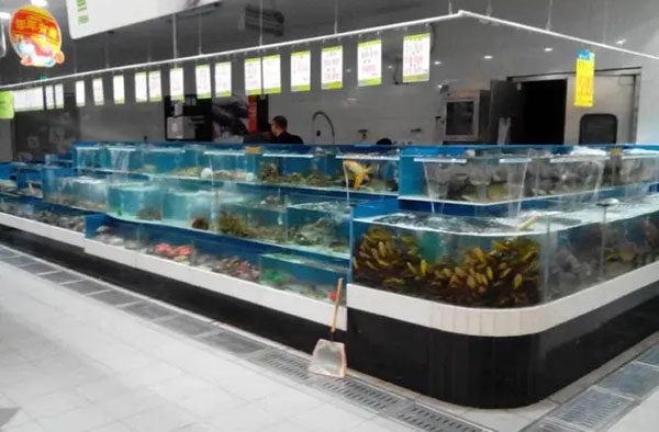 合肥海鲜池设计